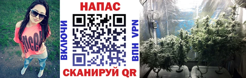 Купить  Городовиковск  МАРИХУАНА Amnesia 